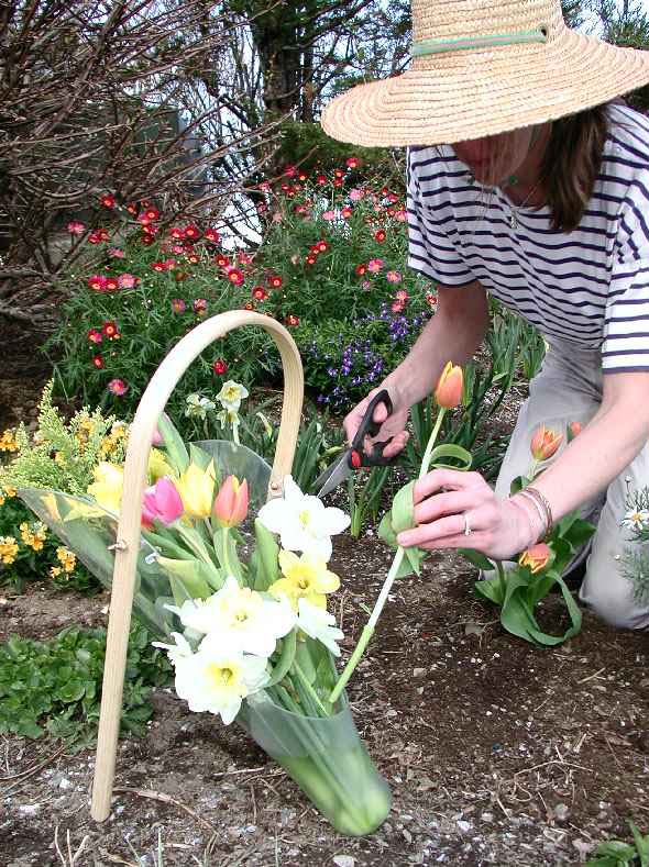 Universal Cut Flower Carrier & Display my Garden and Greenhouse