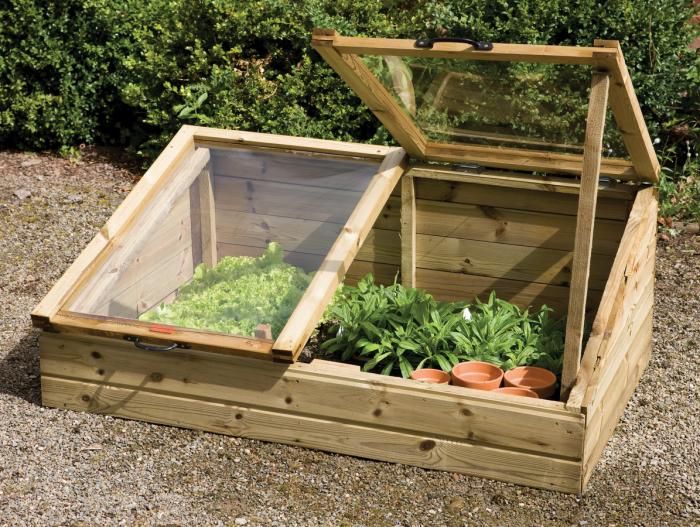 an image of a cold frame greenhouse with plants inside