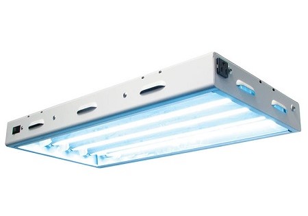 T5 high output on sale fluorescent grow light