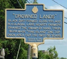 The Drowned Lands: New York's Black Dirt Region - my Garden and Greenhouse