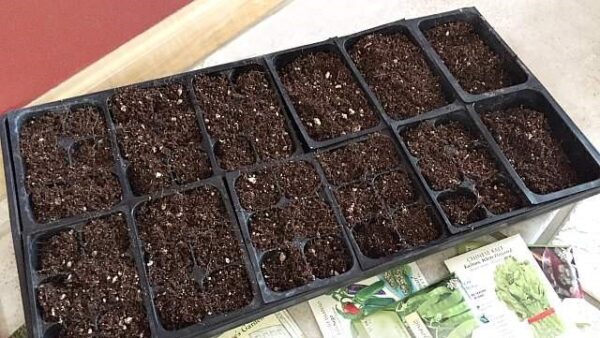 How to Make Your Own Seed Starting Mix - my Garden and Greenhouse