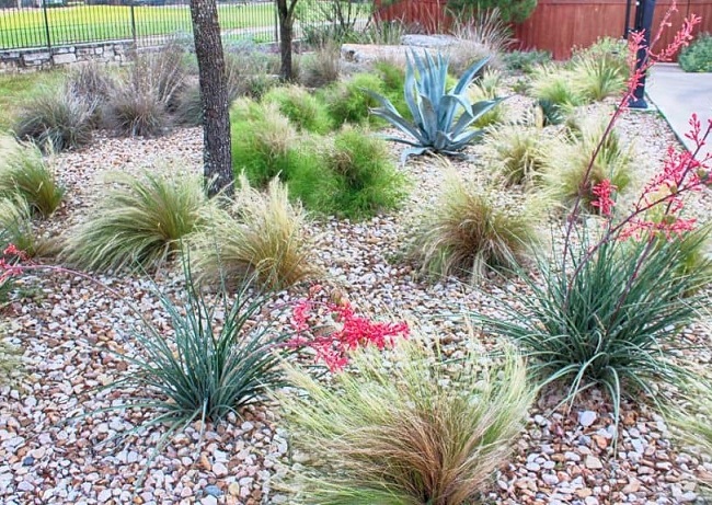 A Beginners Guide To Xeriscaping Creating A Beautiful And Water